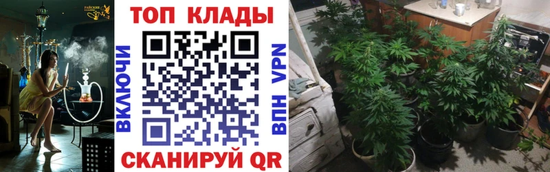 Магазин наркотиков Приморско-Ахтарск МАРИХУАНА  Мефедрон  ссылка на мегу как войти  ГАШИШ  Альфа ПВП  АМФ 